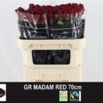 Madam Red 70cm