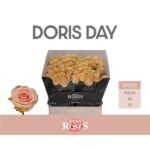 Doris Day 60cm