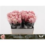 Lovelace 40cm