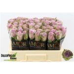 Samantha Bridal 40cm