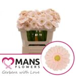 Ge Mi Alix-noor 50cm