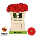 Ge Mi Ketchup 50cm