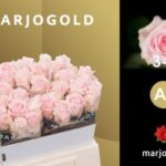 Sweet dolomiti 50 cm