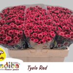 Chr San Mad Red Tyolo