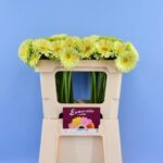 Ge Mi Green Tea 50cm