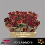 Abrakadabra 40cm