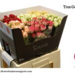 Gemengd Spray (misto) 60cm