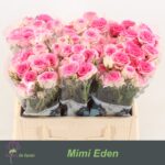 Mimi Eden 40cm