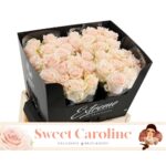 Sweet Caroline 55cm