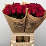 Romantic Nostalgie 60cm