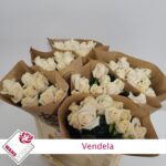 Vendela 60 cm