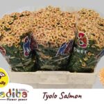 Chr San Mad Salmon Tyolo 55cm