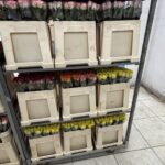 Rose mix 50cm (locale)