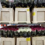 Rose mix 60cm (locale)