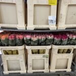 Rose mix 70cm (locale)