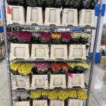 Rose mix 40cm (locale)