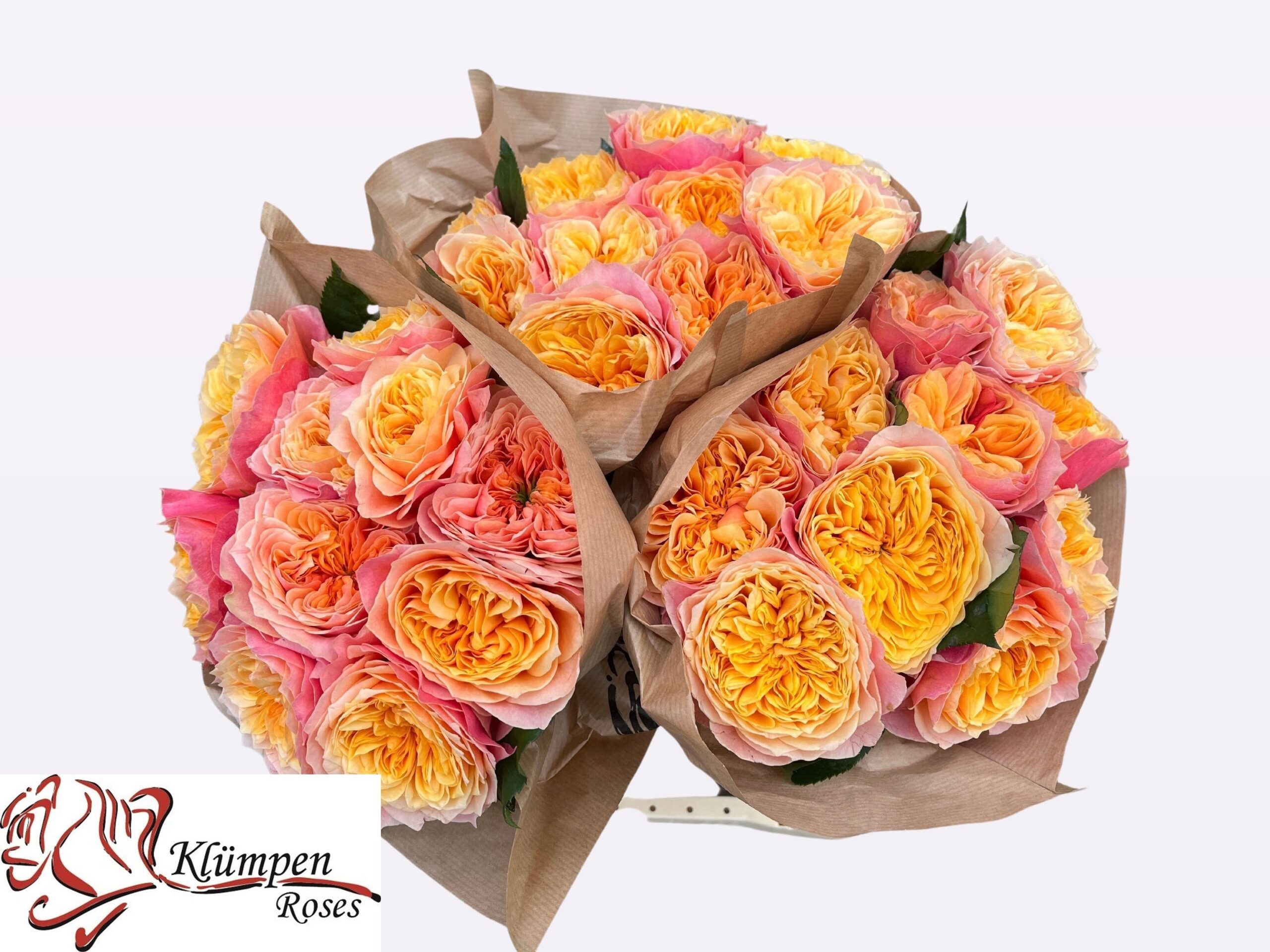 Kensington 30-6858745