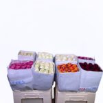 Ecuador mix 30cm (25steli)