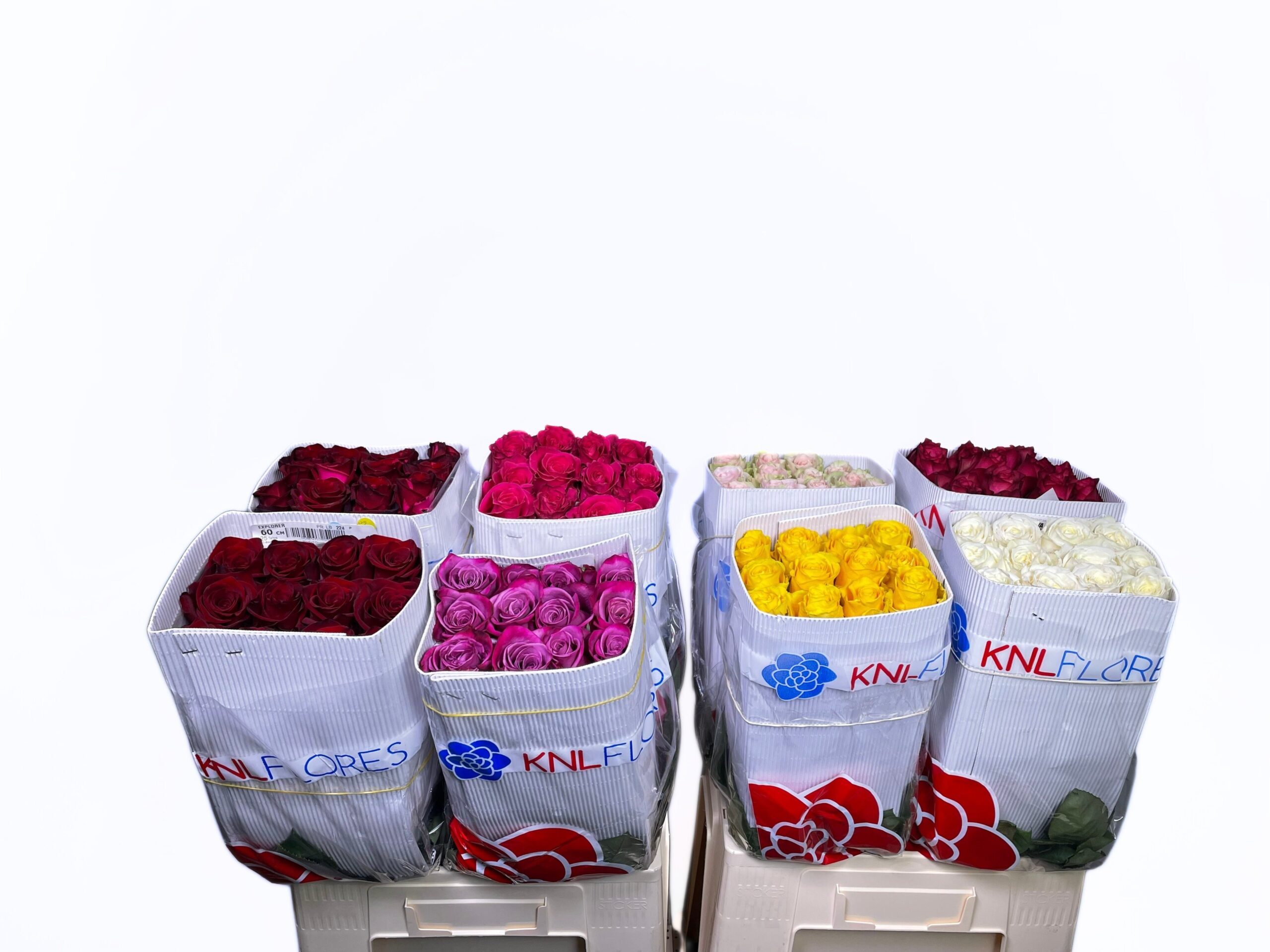 R gr mix 60-10003994