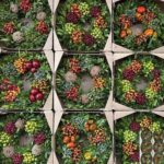 Sierfruit Krans 30cm