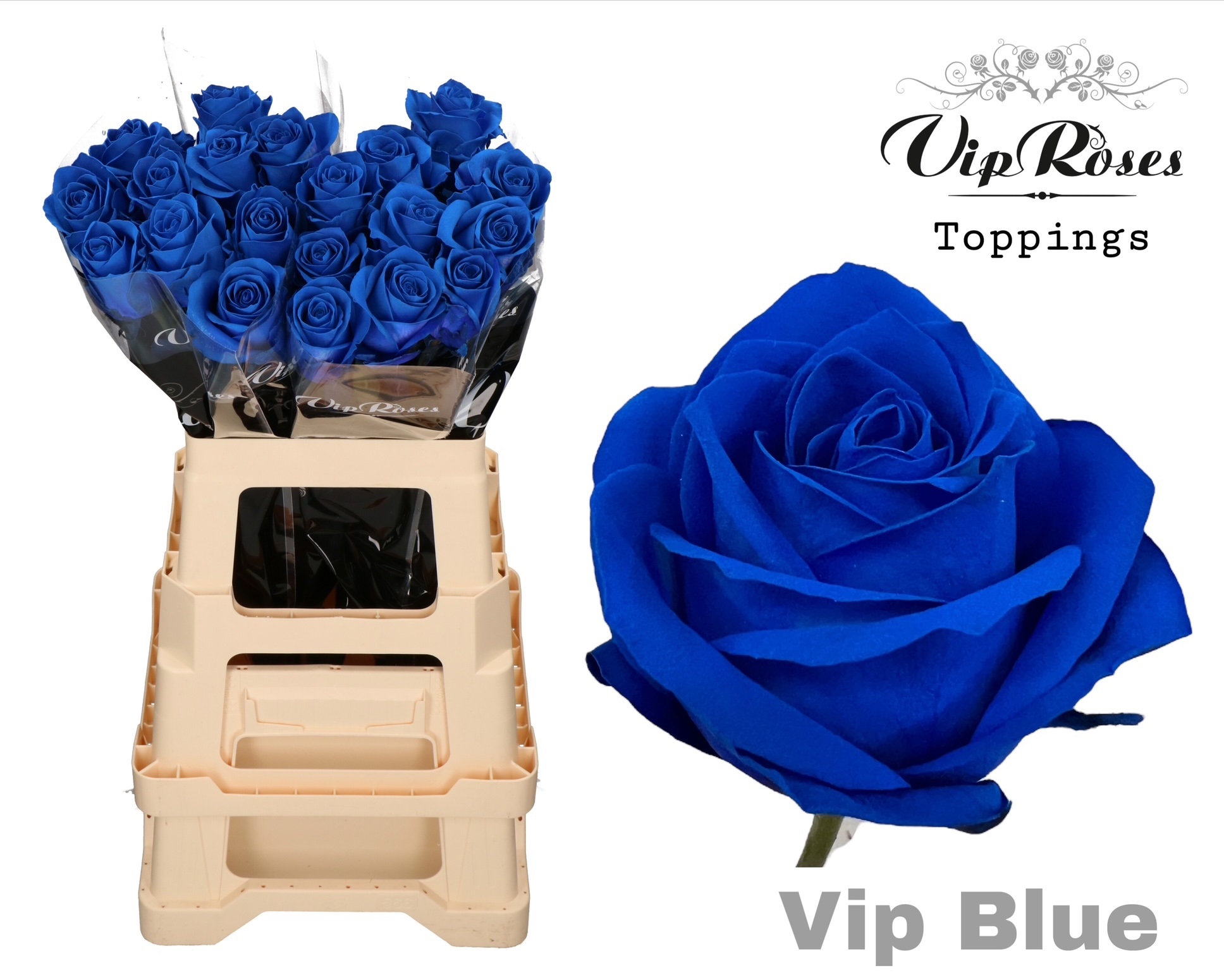 Vip-Blue-new-2025