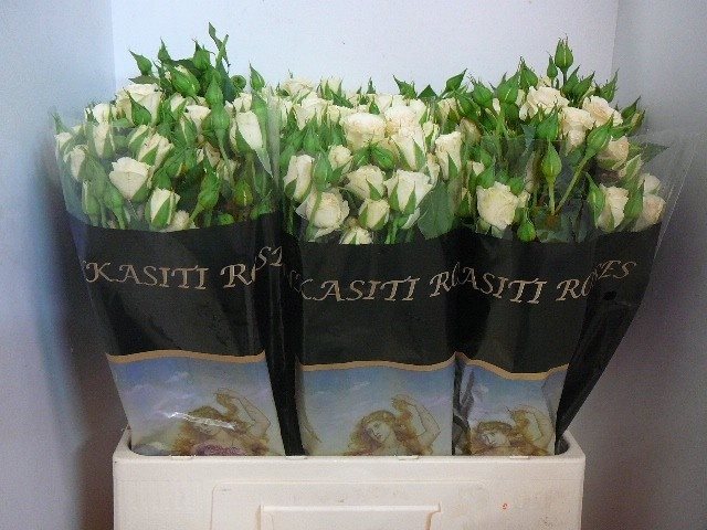 EK.CHX60-10930468 Chamonix 60cm - immagine 1