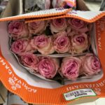 Mandala 50cm (Ecuador)