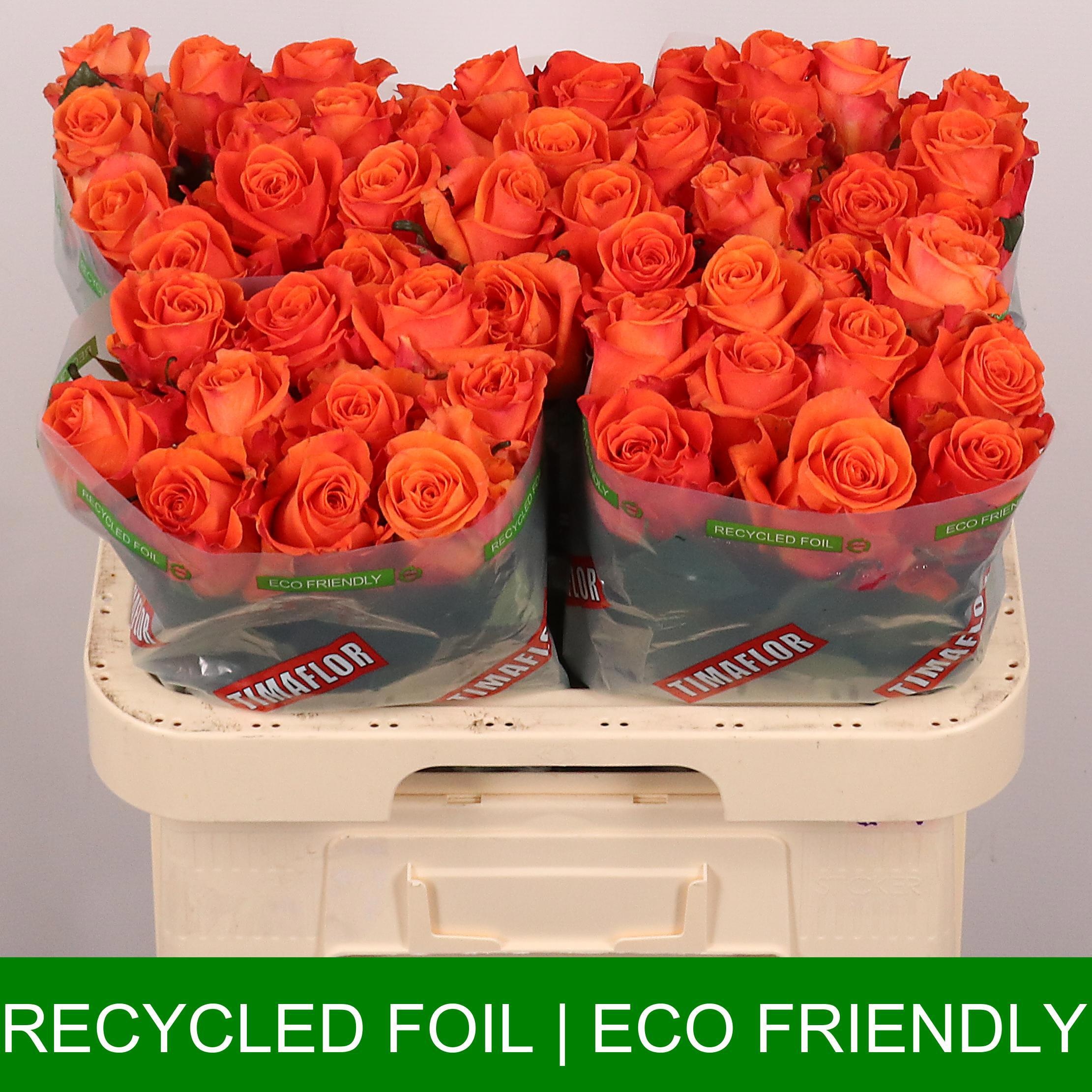 0x2B2974D86C5101CDFC3AD315CE5D5308C973C12E On fire 60cm - immagine 1