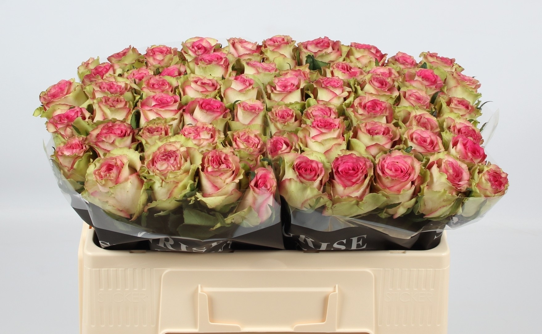 0x9CE4D3386CD4DB7E40926F4657088550FE7C0459 Monique 40cm - immagine 1