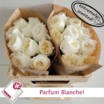 Parfum Blanche 40cm