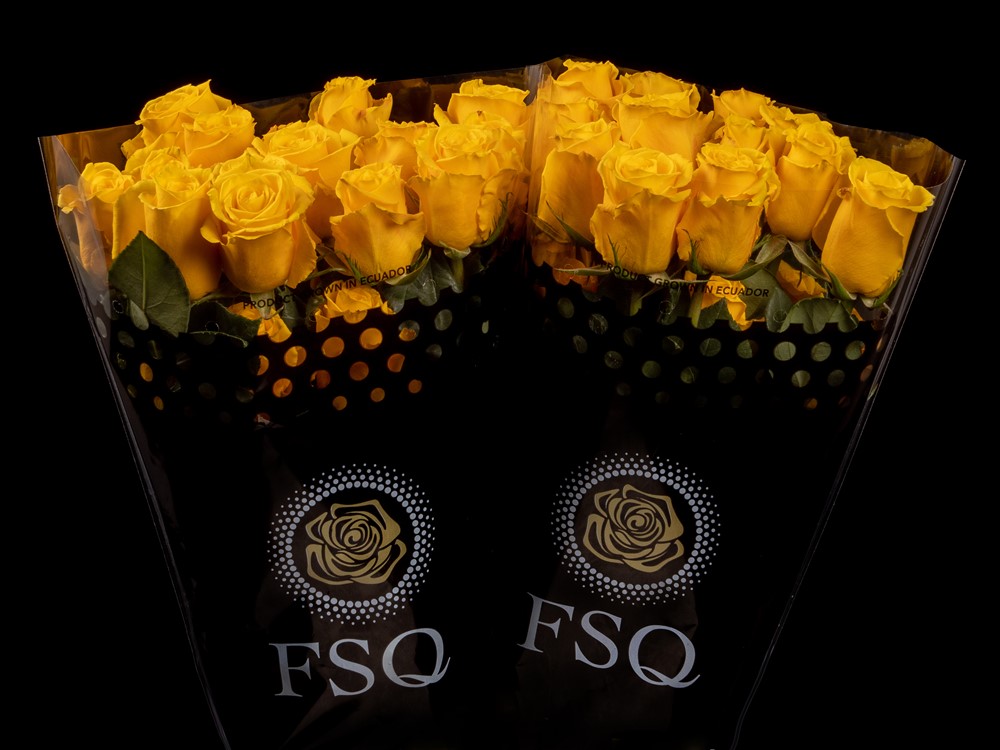 ECUADOR_ROOS_ROSA_ROSE_FLOWER_FSQ_NEWFORMAT_TEXAS Texas 60cm (Ecuador) - immagine 1
