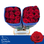 Fortune 60cm (25steli)