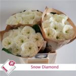 Snow Diamond 40cm