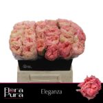 Eleganza 40cm