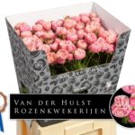 Royal Blush charm 50cm