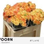 Hastags Flame 40cm