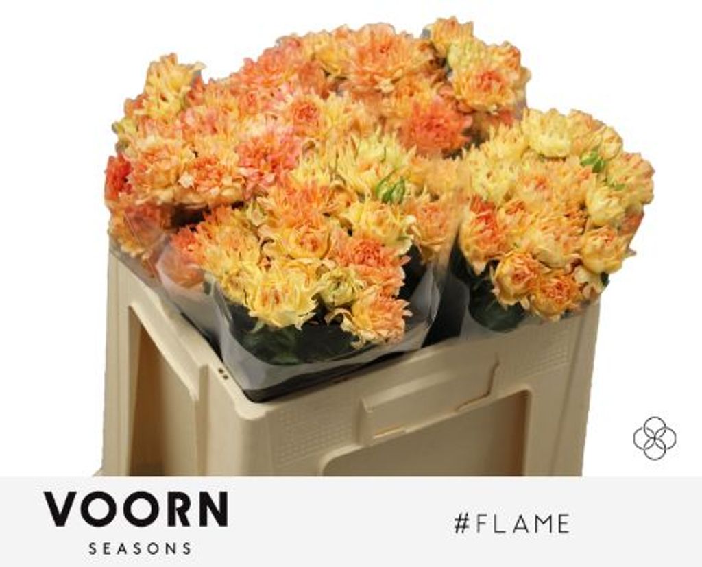 0xD002EB8B03C7F9E5688321904F03A3B2B4BFEFB4 Hastags Flame 40cm - immagine 1