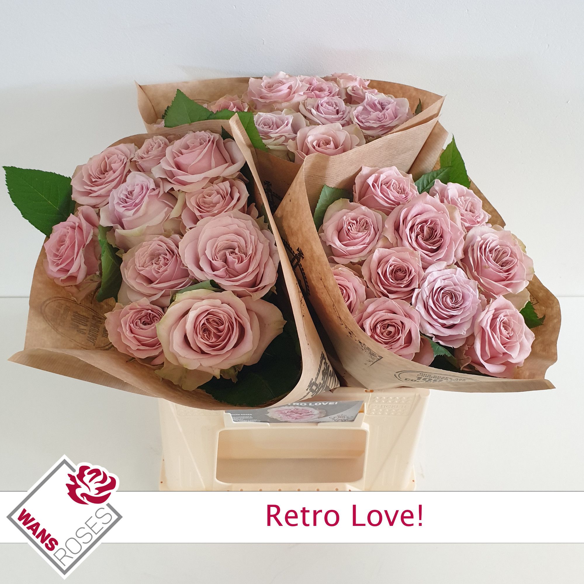 6fee5f26-cb84-48db-b99c-646a368c7c65 Retro love 50cm - immagine 1