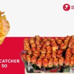 Sunchatcher 50cm