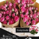 Pretty Giselle 40cm