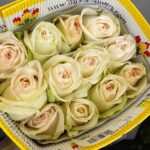 White O'Hara 50cm (25 steli)