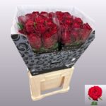 Anor 70cm