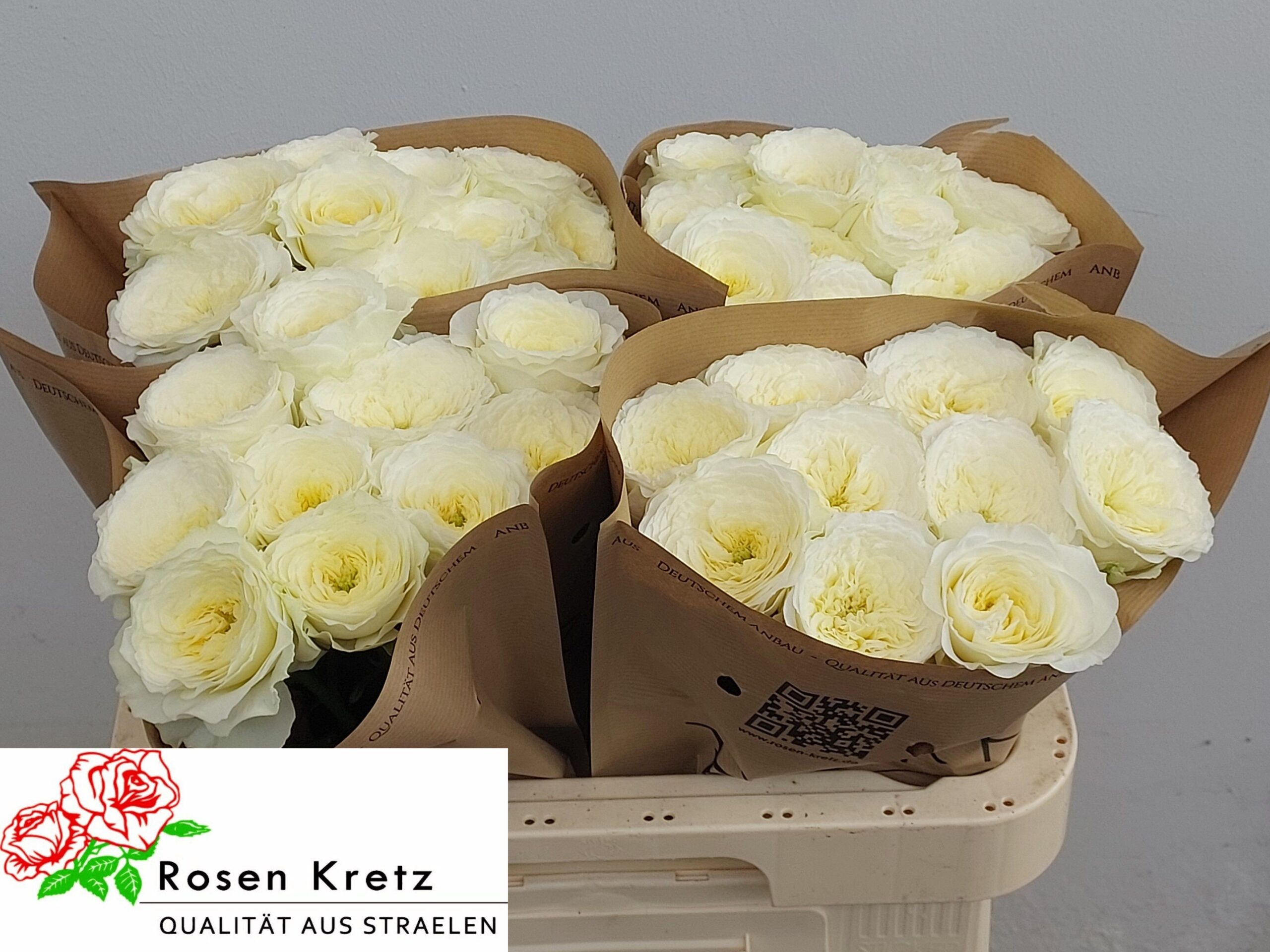 0xDB636965F707FA9F0E8D9F020264B64280C1E5E1 Lotti 50cm - immagine 1