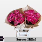 Surrey Hills 60cm