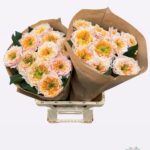 Sira Gardens 60cm