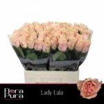 Lady Lala 60cm